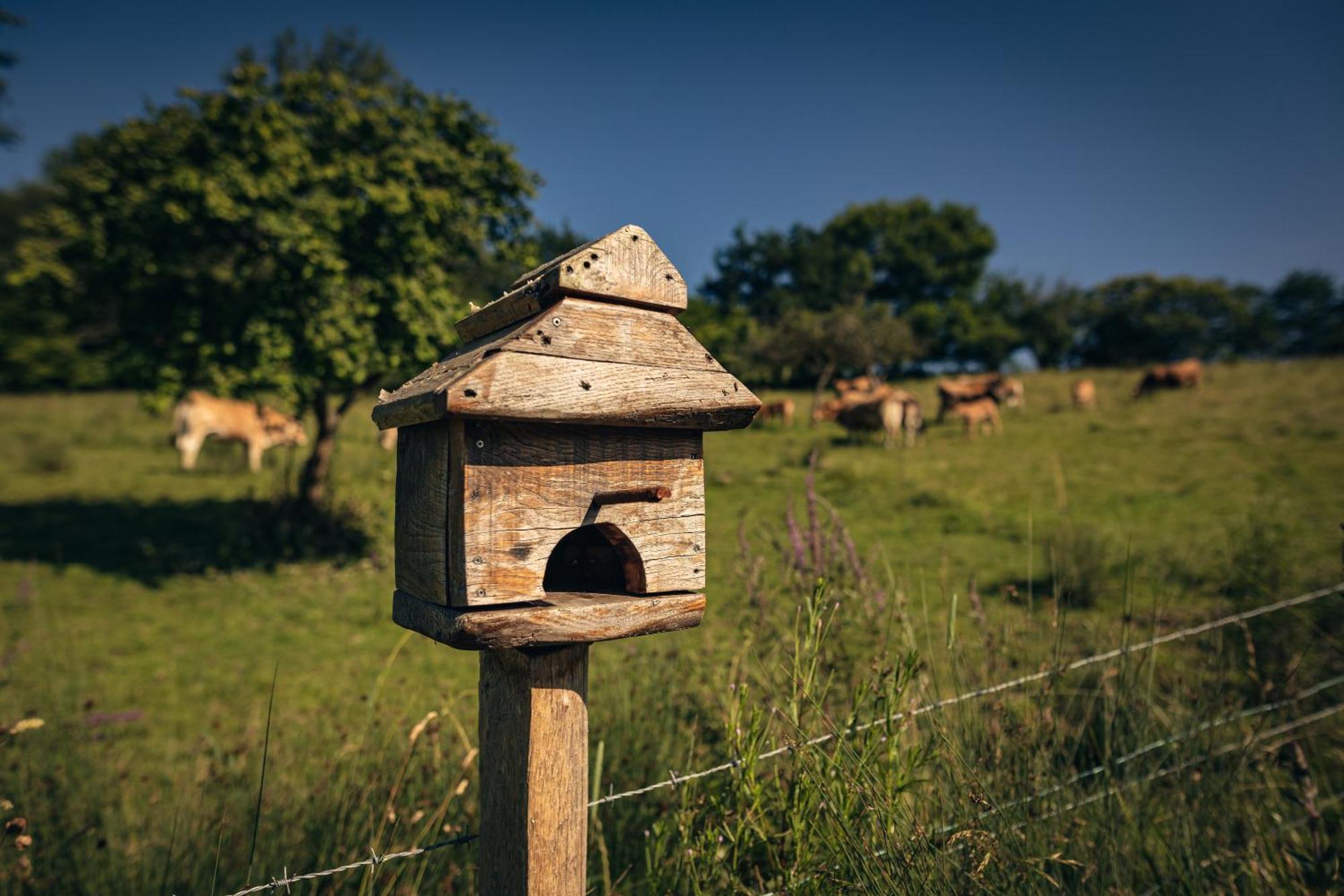 Finca La Naguada Casa Rural En Asturias Beloncio المظهر الخارجي الصورة