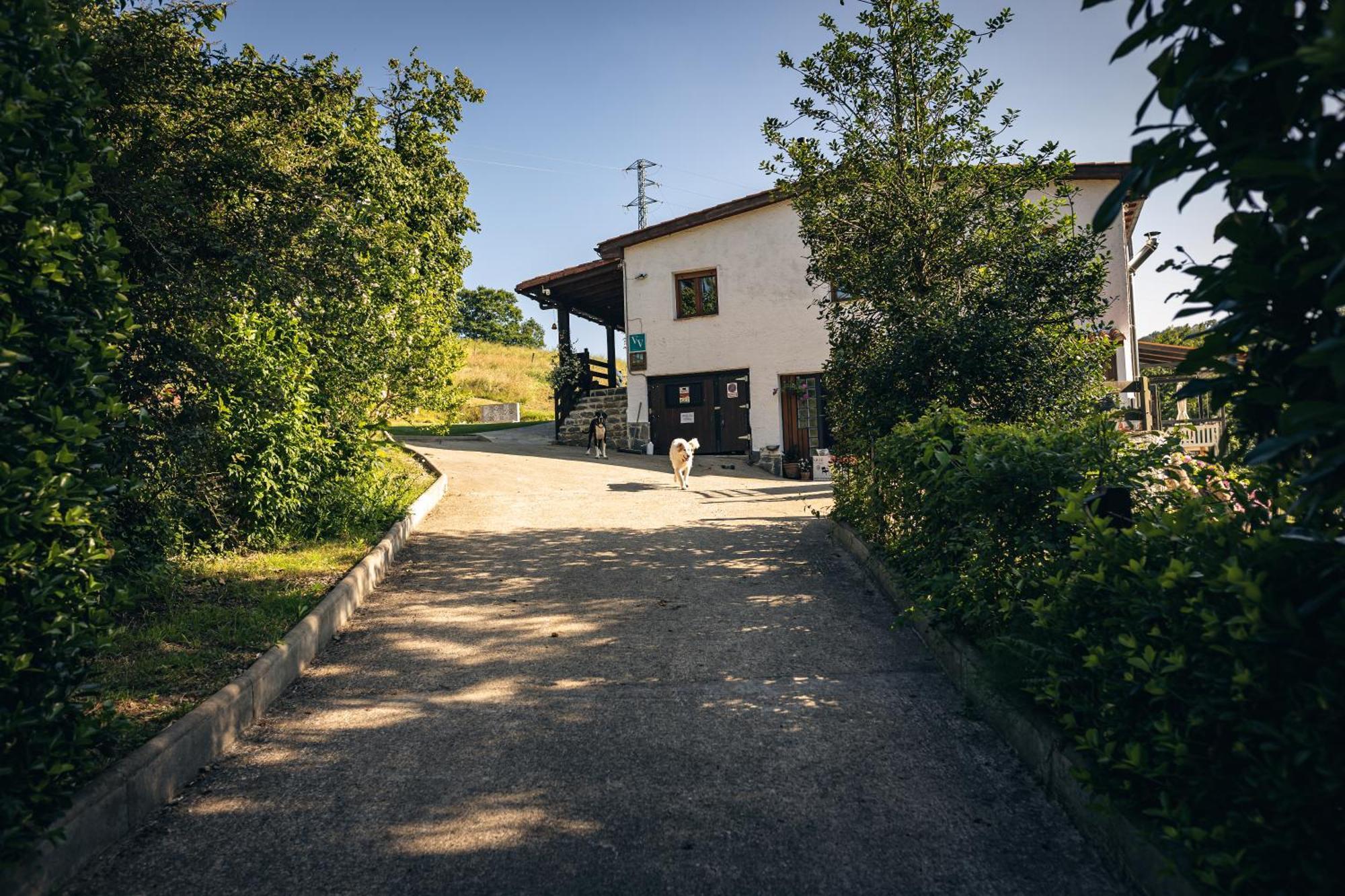 Finca La Naguada Casa Rural En Asturias Beloncio المظهر الخارجي الصورة