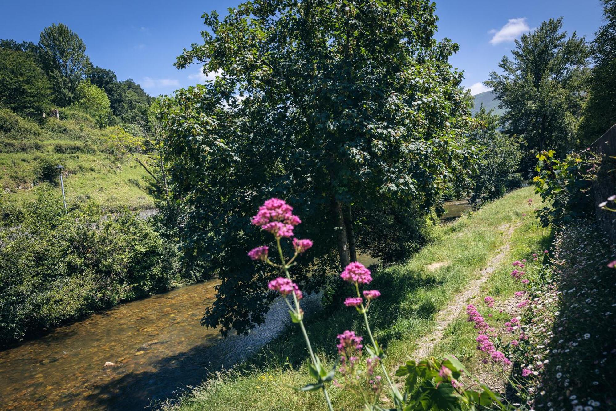 Finca La Naguada Casa Rural En Asturias Beloncio المظهر الخارجي الصورة