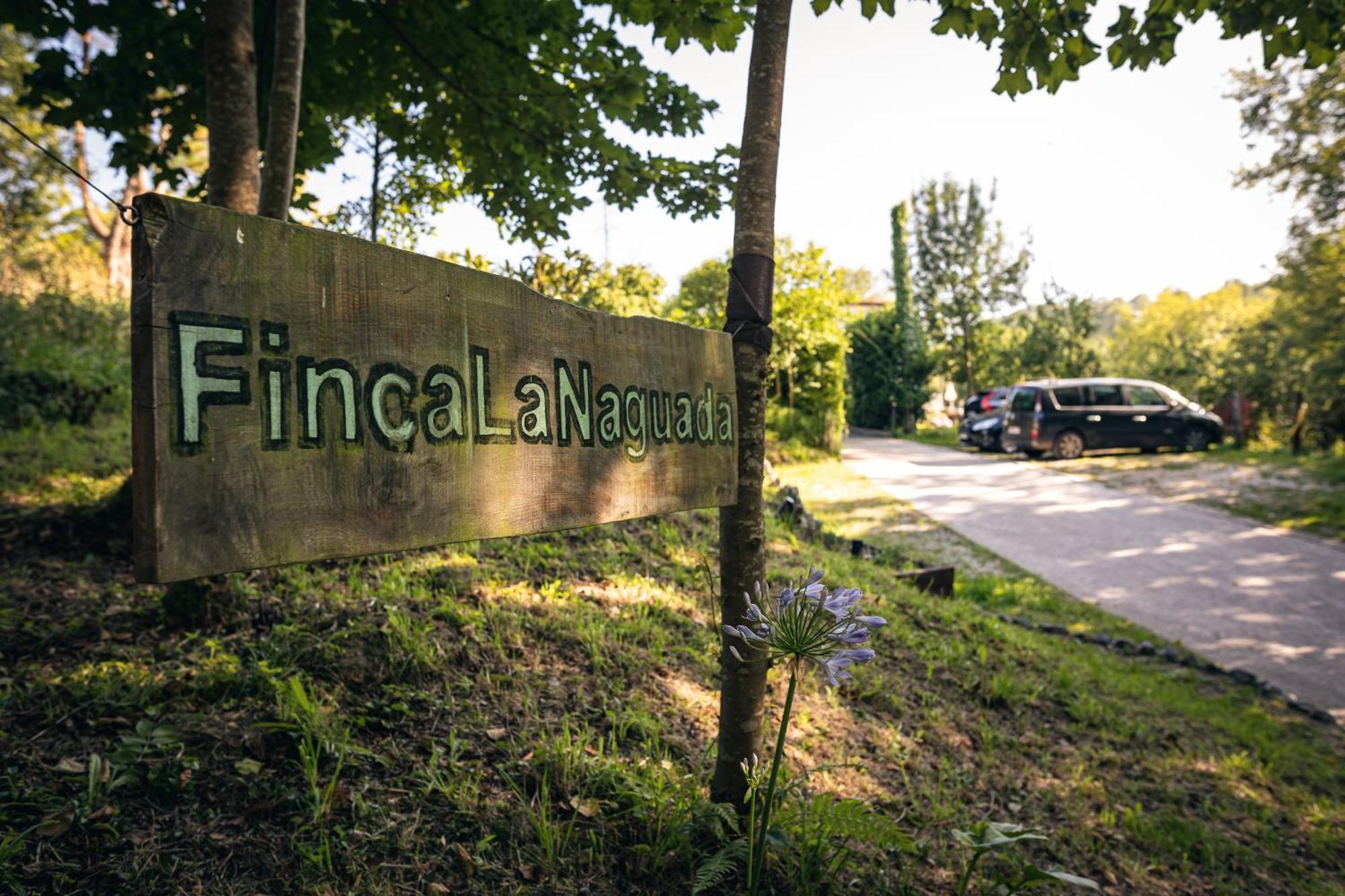 Finca La Naguada Casa Rural En Asturias Beloncio المظهر الخارجي الصورة